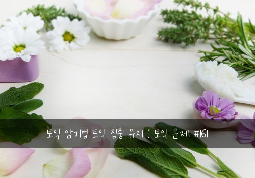 토익 암기법 토익 집중 유지 : 토익 문제 #161