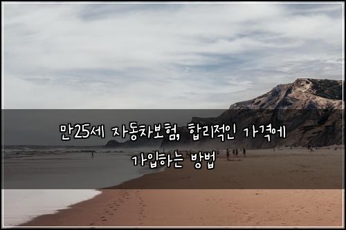 만25세 자동차보험, 합리적인 가격에 가입하는 방법