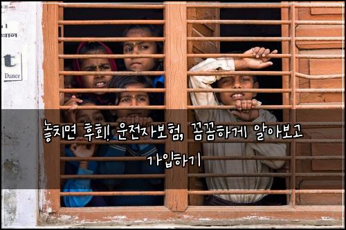 놓치면 후회! 운전자보험, 꼼꼼하게 알아보고 가입하기