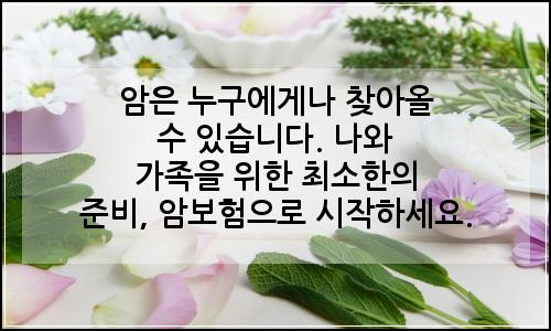 오늘의 이미지