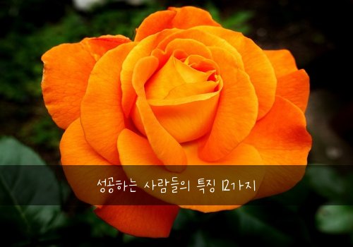 성공하는 사람들의 특징 12가지