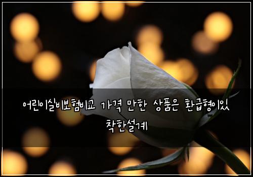 어린이실비보험비교 가격 만한 상품은 환급형이있 착한설계