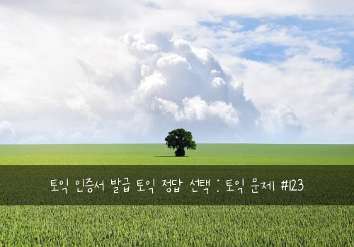 토익 인증서 발급 토익 정답 선택 : 토익 문제 #123