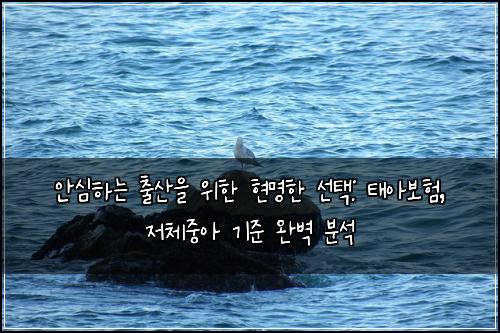  안심하는 출산을 위한 현명한 선택: 태아보험, 저체중아 기준 완벽 분석