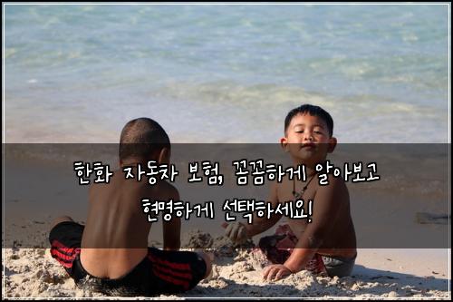 한화 자동차 보험, 꼼꼼하게 알아보고 현명하게 선택하세요!