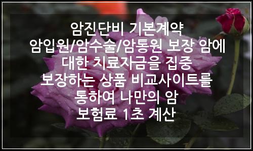 오늘의 이미지