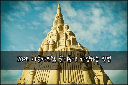 20세 자동차보험, 슬기롭게 가입하는 방법