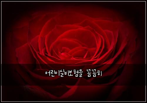 어린이실비보험을 꼼꼼히