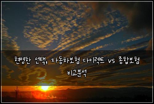  현명한 선택, 자동차보험 다이렉트 vs 종합보험 비교분석