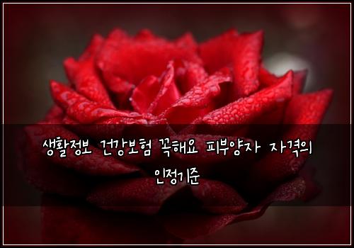 ์ํ์ ๋ณด ๊ฑด๊ฐ๋ณดํ ๊ผญํด์ ํผ๋ถ์์ ์๊ฒฉ์ ์ธ์ ๊ธฐ์ค