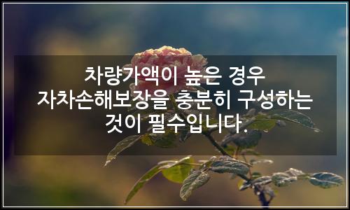 오늘의 이미지