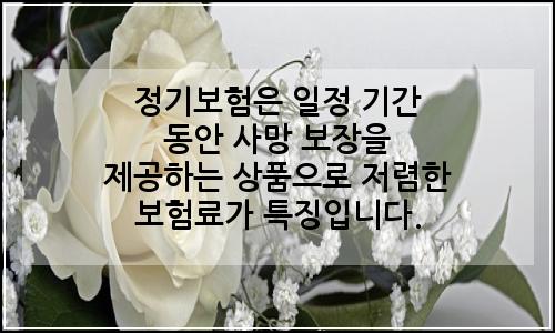 오늘의 이미지