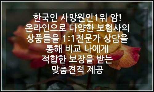 오늘의 이미지