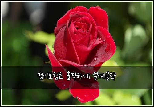 ์ ๊ธฐ๋ณดํ๋ฃ ์์งํ๊ฒ ์ค๊ณ๊ณต๋ต