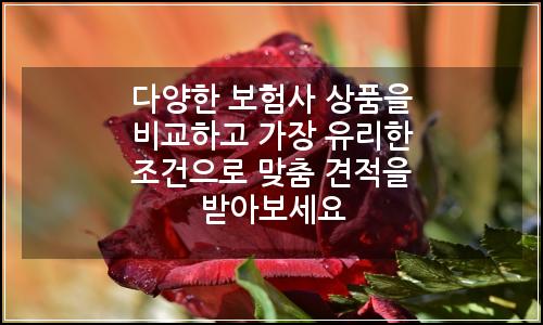 오늘의 이미지