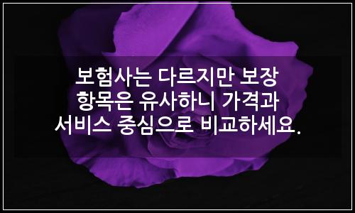 오늘의 이미지