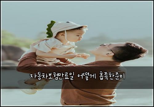 ์๋์ฐจ๋ณดํ๋ง๋ฃ์ผ ์ด๋ป๊ฒ ํก์กฑํ์ค๋น