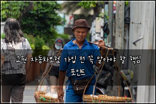 교원 자동차보험: 가입 전 꼭 알아야 할 핵심 포인트