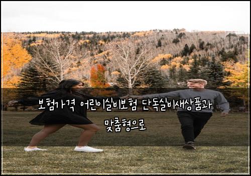 보험가격 어린이실비보험 단독실비새상품과 맞춤형으로