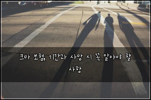 크마 보험, 기간과 사망 시 꼭 알아야 할 사항