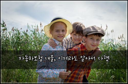  자동차보험 대물, 이제라도 알아서 다행!
