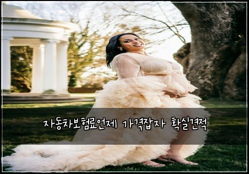 자동차보험료언제 가격잡자 확실견적