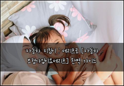 자동차 지킴이 : 메리츠로 [자동차 보험가입이요메리츠] 완벽 가이드