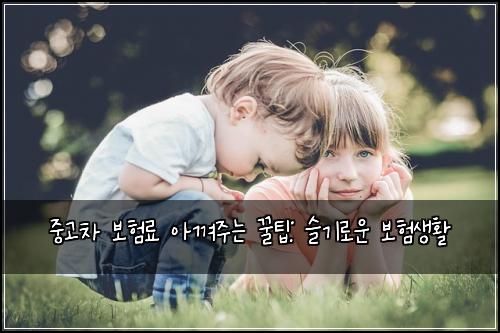 중고차 보험료 아껴주는 꿀팁: 슬기로운 보험생활
