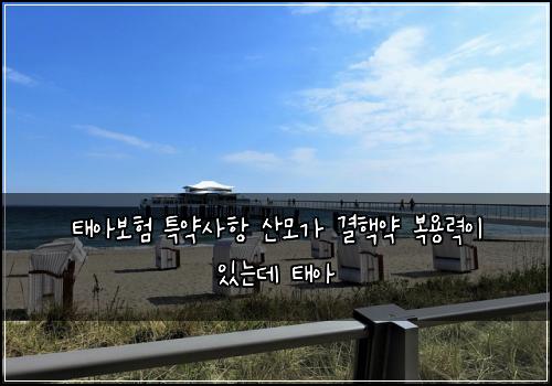 태아보험 특약사항  산모가 결핵약 복용력이 있는데 태아
