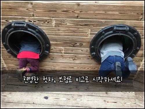  현명한 첫차, 보험료 비교로 시작하세요!