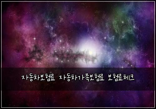 ์๋์ฐจ๋ณดํ๋ฃ ์๋์ฐจ๊ฐ์กฑ๋ณดํ๋ฃ ๋ณดํ๋ฃ์ฒดํฌ