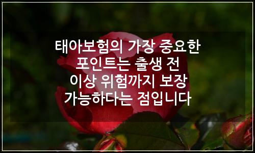 오늘의 이미지