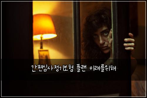 간편심사정기보험 플랜  미래를위해
