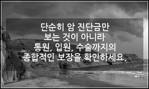 오늘의 이미지