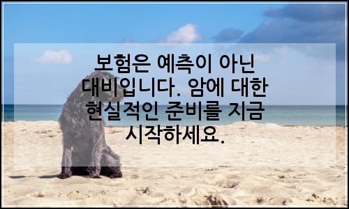 오늘의 이미지