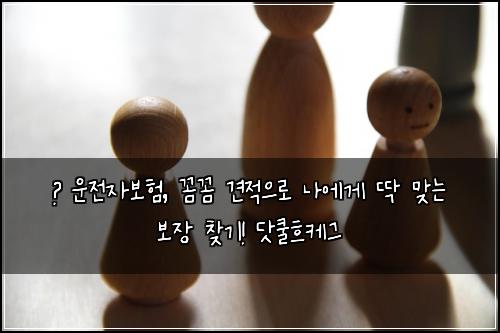  🚨 운전자보험, 꼼꼼 견적으로 나에게 딱 맞는 보장 찾기! 닷쿨흐케그