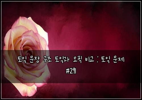 토익 문장 구조 토익과 오픽 비교 : 토익 문제 #291