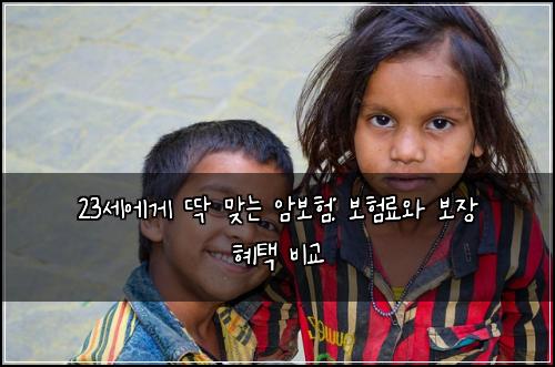 23세에게 딱 맞는 암보험: 보험료와 보장 혜택 비교