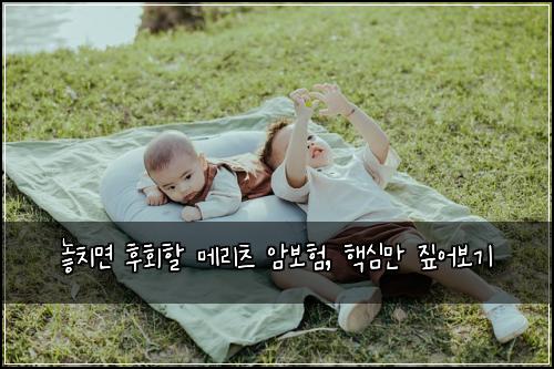  놓치면 후회할 메리츠 암보험, 핵심만 짚어보기