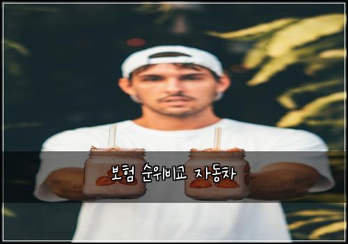 ๋ณดํ ์์๋น๊ต ์๋์ฐจ