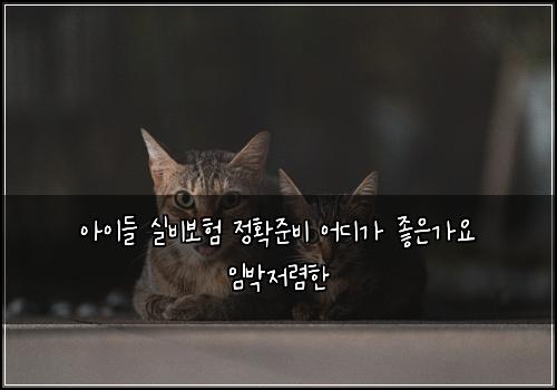 ์์ด๋ค ์ค๋น๋ณดํ ์ ํ์ค๋น ์ด๋๊ฐ ์ข์๊ฐ์ ์๋ฐ์ ๋ ดํ