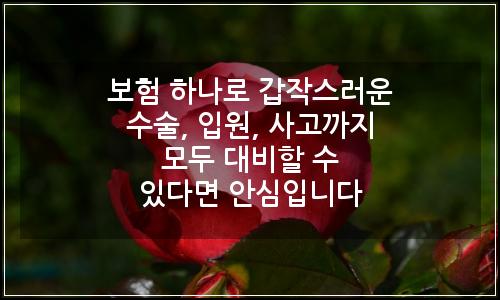 오늘의 이미지