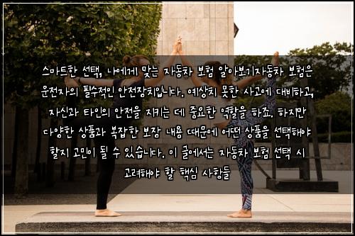  스마트한 선택, 나에게 맞는 자동차 보험 알아보기

자동차 보험은 운전자의 필수적인 안전장치입니다. 예상치 못한 사고에 대비하고, 자신과 타인의 안전을 지키는 데 중요한 역할을 하죠. 하지만 다양한 상품과 복잡한 보장 내용 때문에 어떤 상품을 선택해야 할지 고민이 될 수 있습니다. 이 글에서는 자동차 보험 선택 시 고려해야 할 핵심 사항들