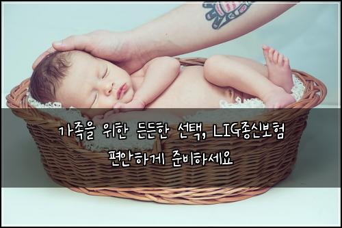  가족을 위한 든든한 선택, LIG종신보험 편안하게 준비하세요