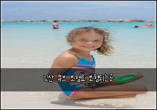 ๋์ฐ ํ๋ธ ๋ณดํ๋ฃ ๋ณดํ๋๋๊ณณ