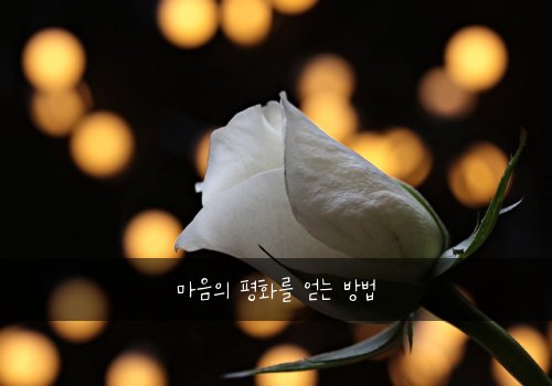 마음의 평화를 얻는 방법