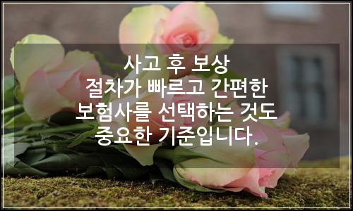 오늘의 이미지