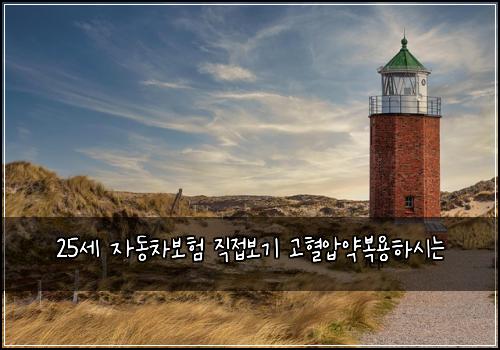 25μΈ μλ차보ν μ§μ 보기 κ³ νμμ½λ³΅μ©νμλ