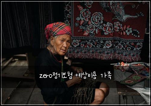 zero정기보험 예상비용  가족