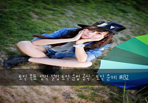 토익 목표 성적 설정 토익 문법 공식 : 토익 문제 #132